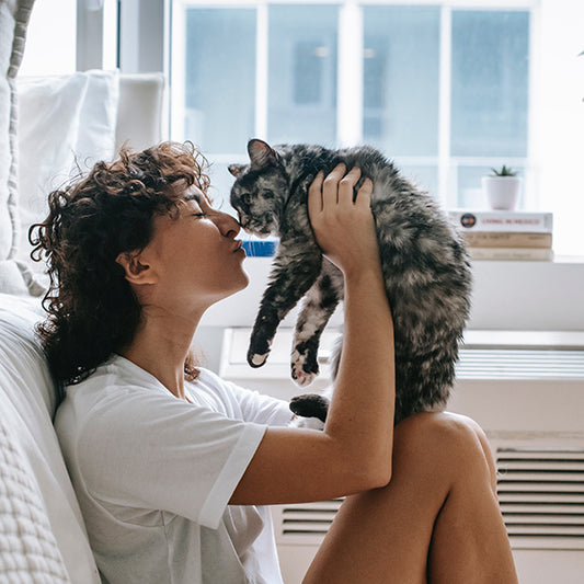 10 Signs Your Cat Loves You