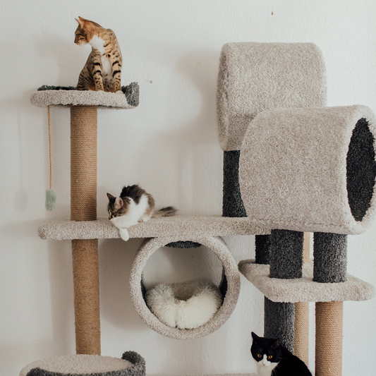 Exploring the Purr-fect Cat Tree Houses in the EU: A Feline Haven