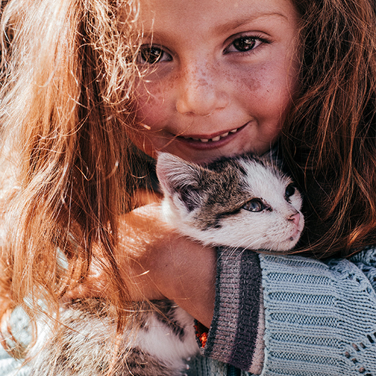 Introducing a New Cat to Your Kids: Golden Rules for Success!