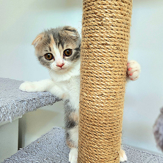 Is Cat Tree Even Safe?