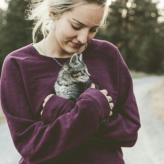 The Top 10 Cat Breeds for Every Feline Fan