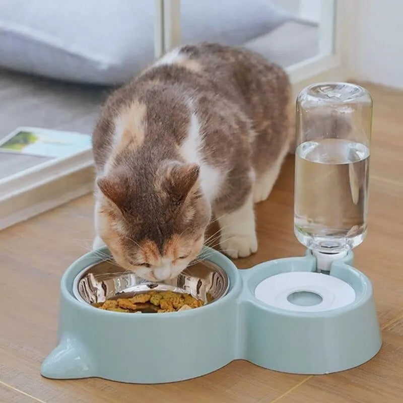 2 in 1 Pet Bowl