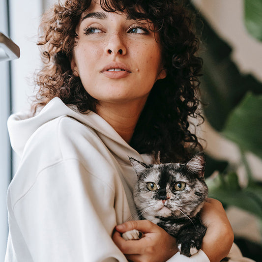 10 Tips for Living with a Diabetic Cat
